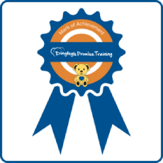 Dingleys Promise Training